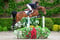 Annuncio cavallo