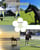 Horse ad