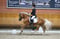 Horse ad