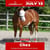 Annuncio cavallo