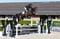 Horse ad