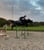 Annuncio cavallo