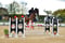 Annuncio cavallo