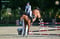 Annonce cheval