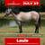 Horse ad