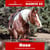 Annuncio cavallo