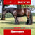 Horse ad