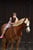 Annuncio cavallo