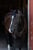 Annonce cheval