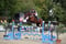 Horse ad