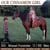 Paardadvertentie