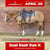Horse ad