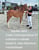 Anuncio de caballos