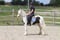 Horse ad