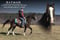 Annuncio cavallo