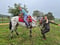 Anuncio de caballos