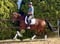 Annuncio cavallo