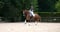 Horse ad