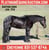 Horse ad