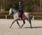 Annonce cheval