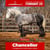 Horse ad
