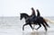 Horse ad