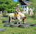 Annonce cheval