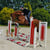 Annuncio cavallo