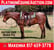 Horse ad