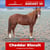 Annonce cheval