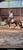 Horse ad