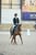 Horse ad