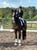 Annonce cheval