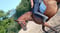 Annonce cheval