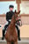 Annuncio cavallo