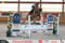 Horse ad