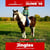 Annuncio cavallo
