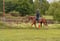 Anuncio de caballos