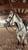 Annuncio cavallo