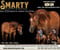 Horse ad