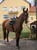 Paardadvertentie