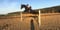 Horse ad