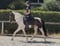 Annuncio cavallo