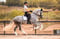 Horse ad