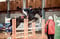 Horse ad