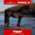Annuncio cavallo