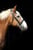 Horse ad