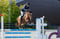 Horse ad