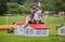 Horse ad
