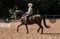 Horse ad